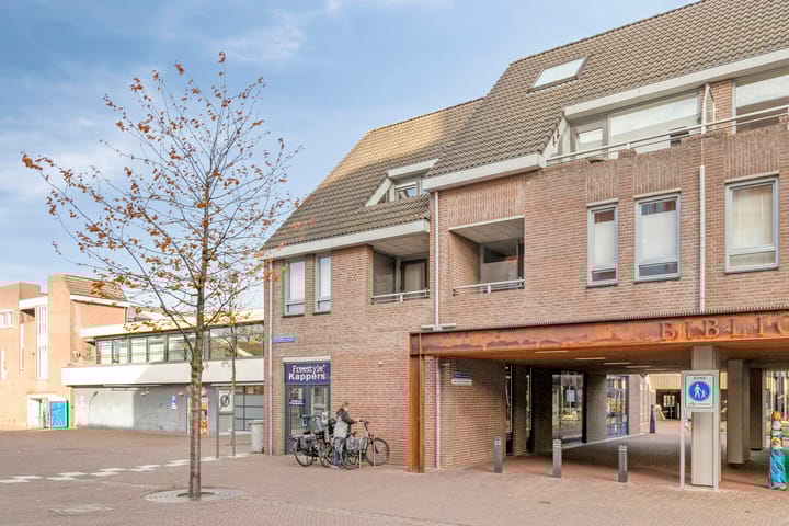 De Gouden Leeuw 63 in Venray