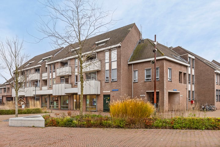 De Gouden Leeuw 93 in Venray foto