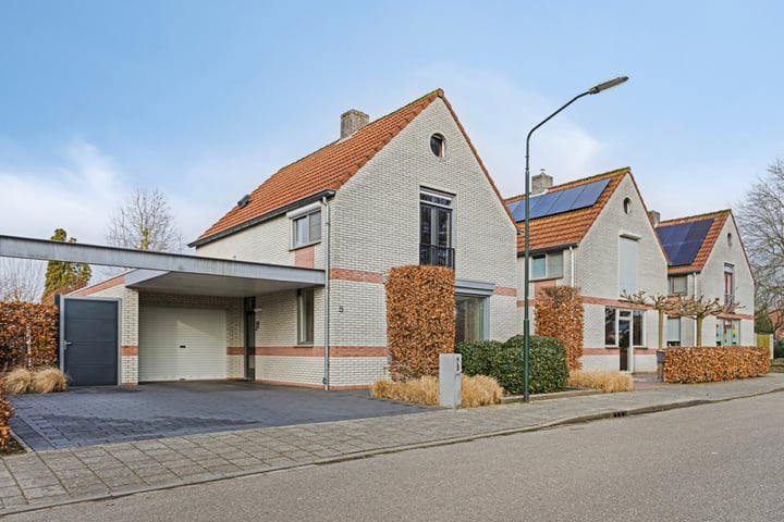 De Goudvink 5 in Budel foto