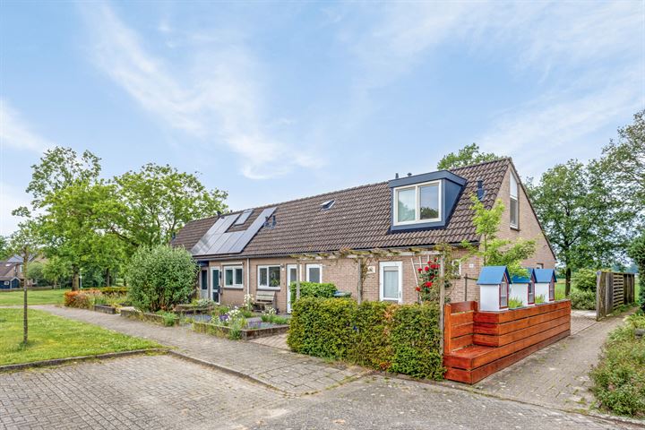 De Hare 86 in Aalten foto