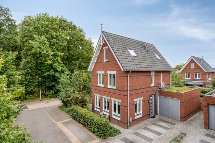 De kiem 2 in Oss
