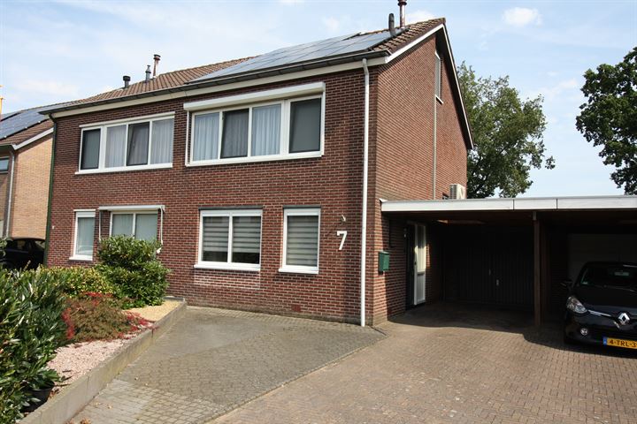 De Koolmees 7 in Vriezenveen foto