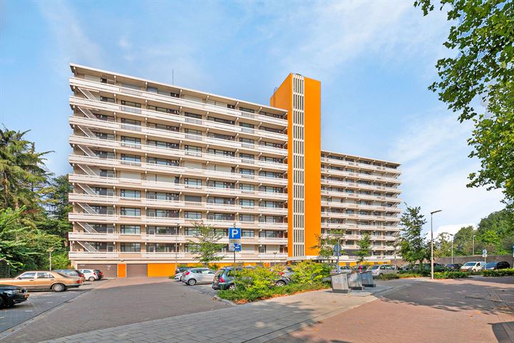 de Koppele 209 in Eindhoven foto