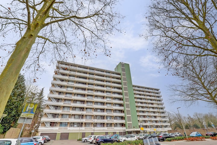 de Koppele 615 in Eindhoven foto