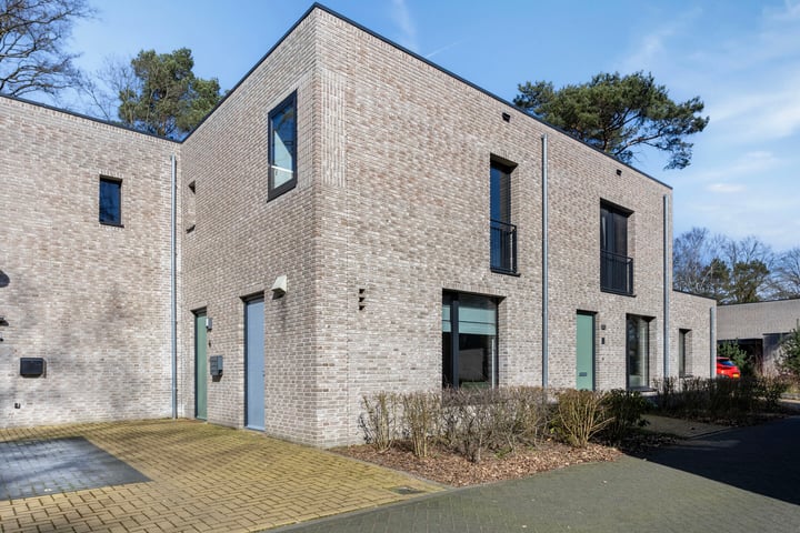 de Linge 6 in Son en Breugel foto