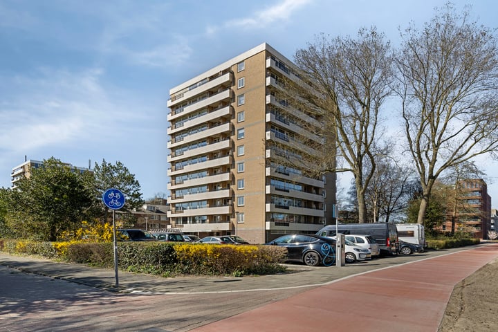 De Loet 42 in Castricum
