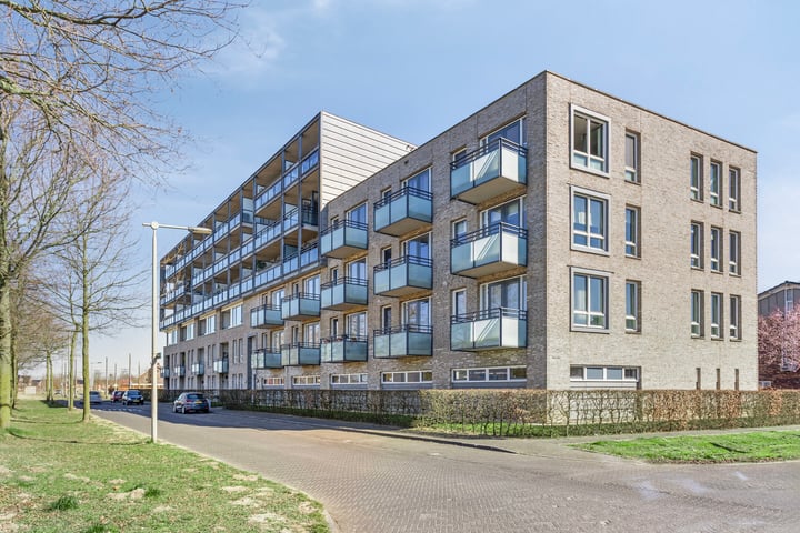 De Maaidorser 17-6 in Arnhem foto