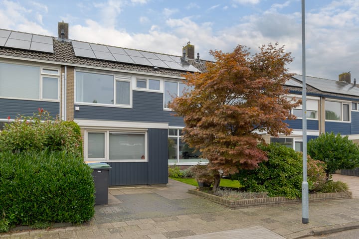 de Mate 38 in Hattem