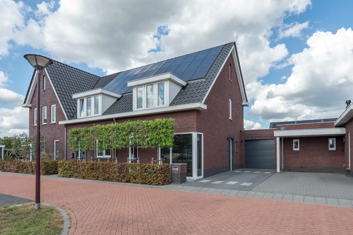 De Reuzelaar 4 in Hoeven foto