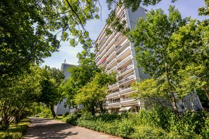 De Roerdomp 150 in Purmerend foto