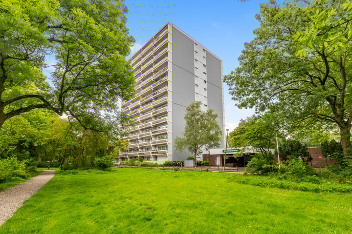 De Roerdomp 157 in Purmerend