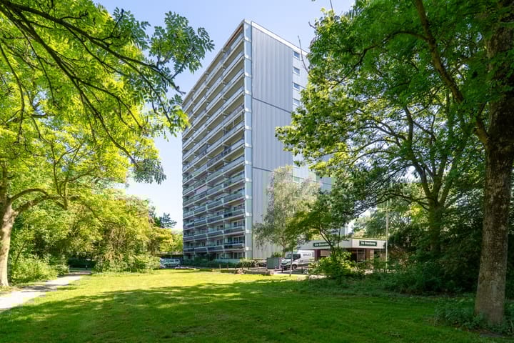 De Roerdomp 188 in Purmerend foto