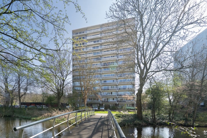 De Roerdomp 196 in Purmerend foto