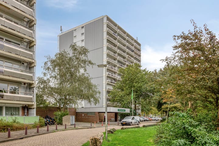 De Roerdomp 26 in Purmerend foto