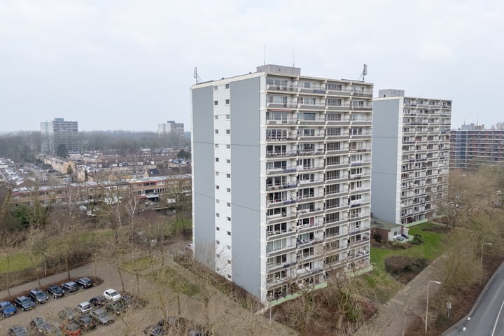 De Roerdomp 69 in Purmerend foto