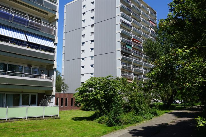 De Roerdomp 7 in Purmerend foto