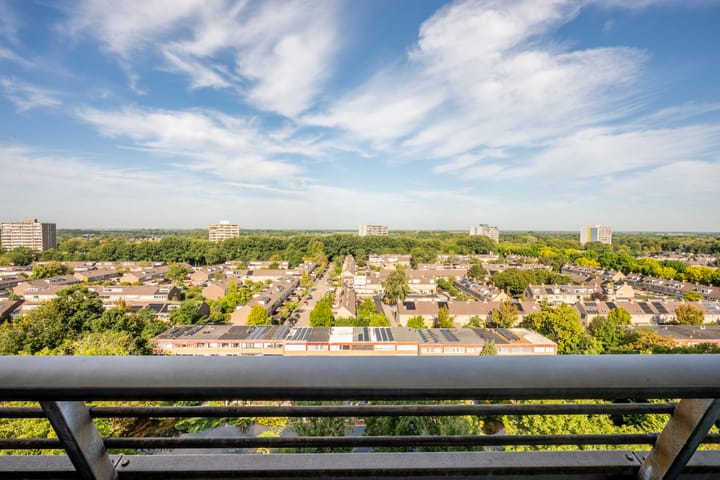 De Roerdomp 87 in Purmerend foto