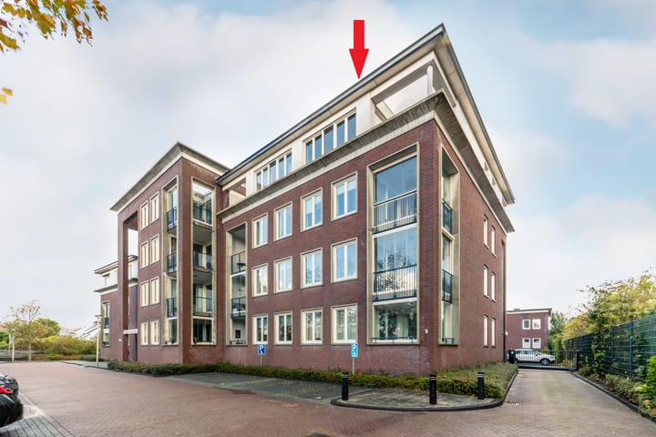 de Ruy 98 in Oostvoorne foto