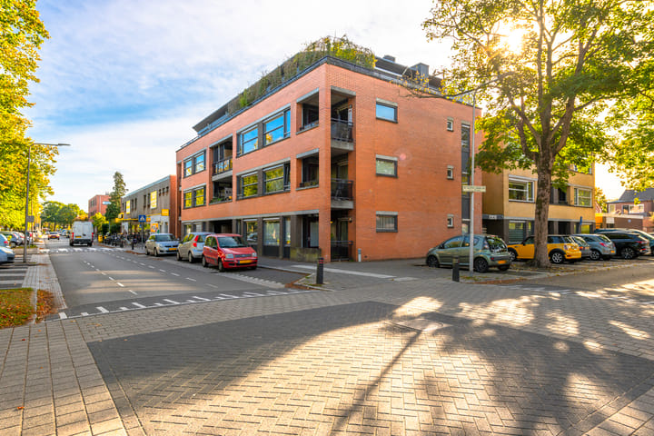 De Savornin Lohmanlaan 36 in Zeist