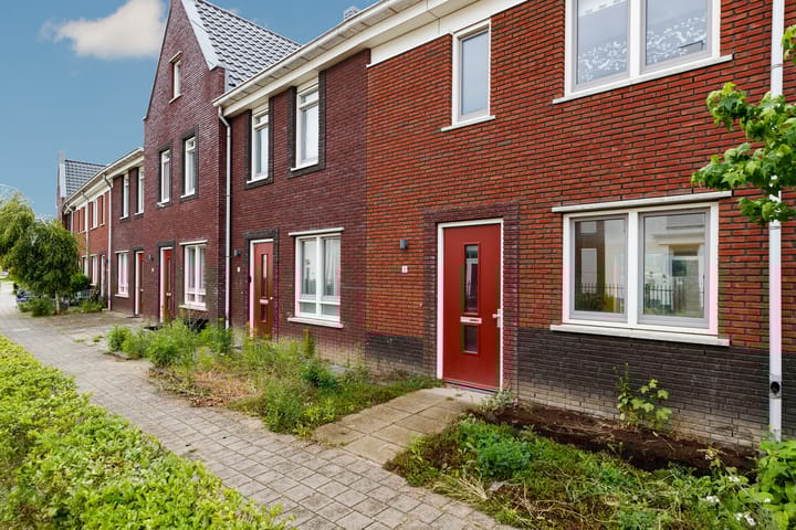 De Terp 5 in Geldermalsen foto