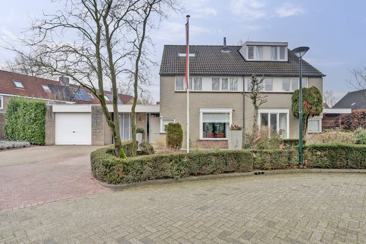 De Wip 9 in Hilvarenbeek foto