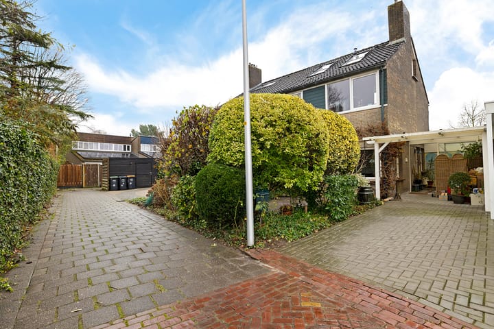 De Wulp 50 in Hoogeveen