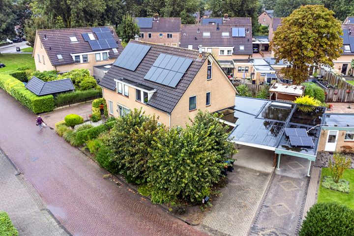 De Zaaiviool 3 in Biddinghuizen foto