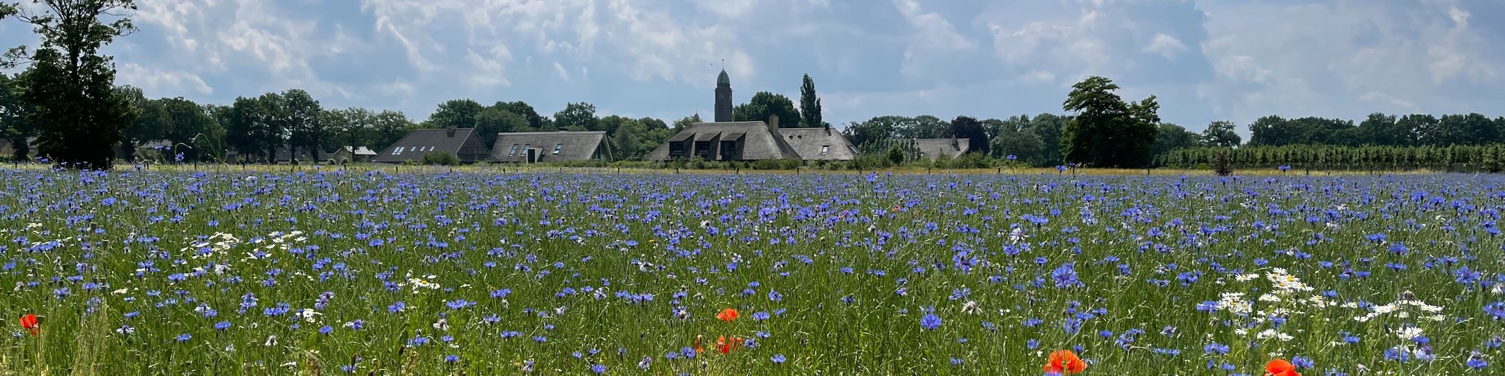 Kantoorfoto De Zeeuw Makelaars