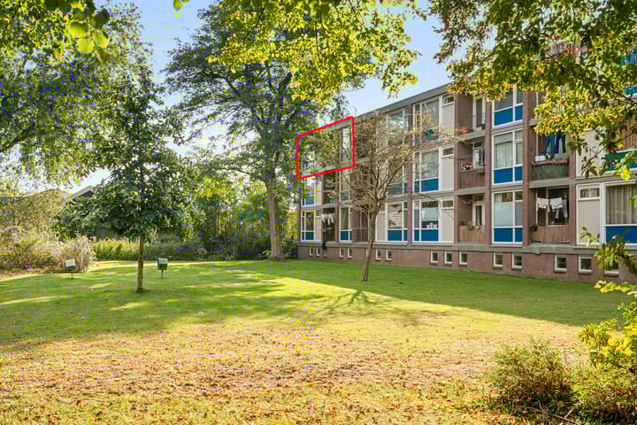 De Zoom 36 in Ede foto