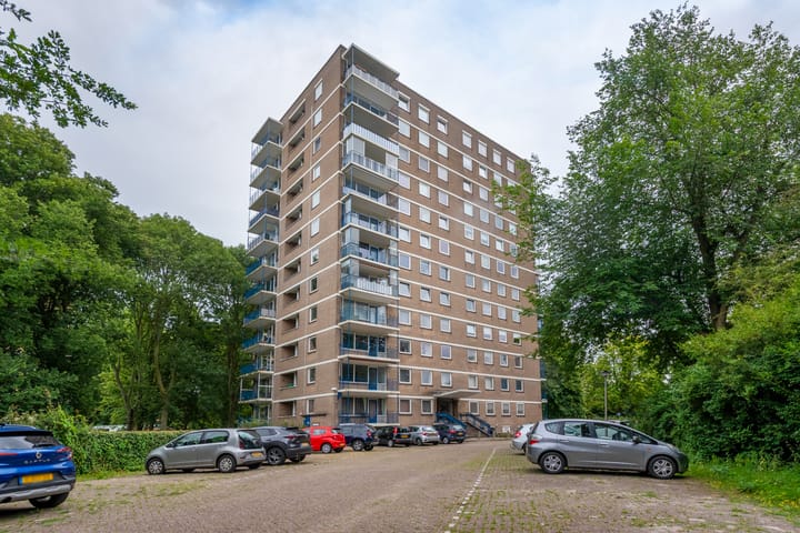 Denenburg 97 in 's-Gravenhage