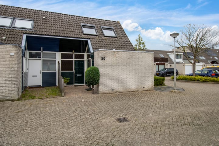 Diamant 50 in Berkel en Rodenrijs foto