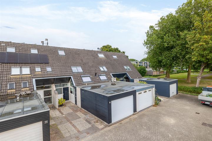 Diamant 75 in Berkel en Rodenrijs foto