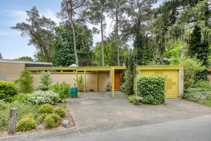 Dianabos 9 in Boxtel foto