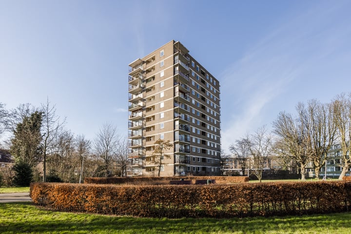 Dignaland 54 in 's-Gravenhage foto