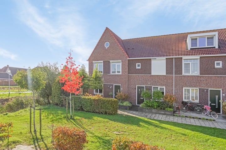 Dilt 1 in Tholen foto