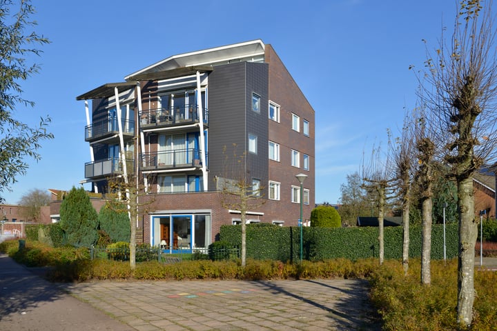 Disselboom 46 in Soest foto