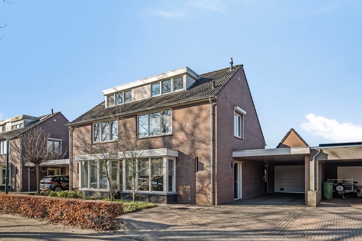 Distel 6 in Luyksgestel