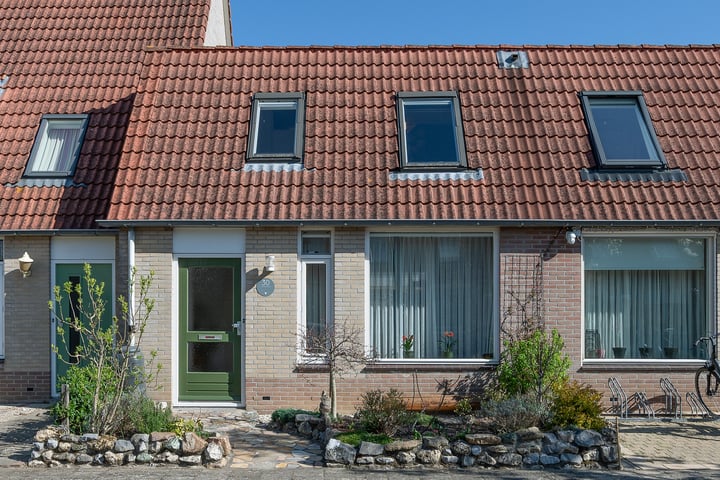 Distelvlinder 30 in Zwolle