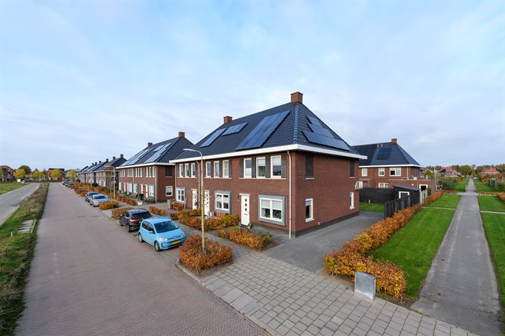 Distelvlinder 33 in Wolvega foto