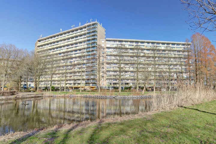 Dokter van Stratenweg 255 in Gorinchem foto