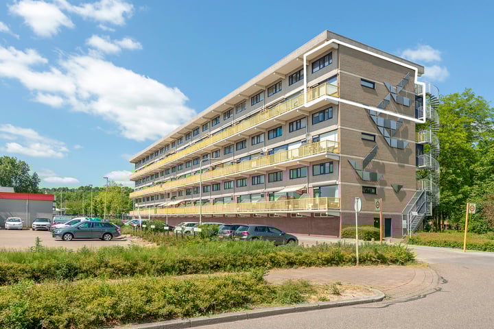Dokter van Stratenweg 301 in Gorinchem foto