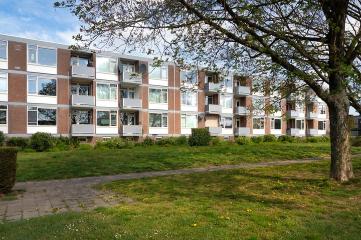 Domela Nieuwenhuisstraat 31 in Nijmegen