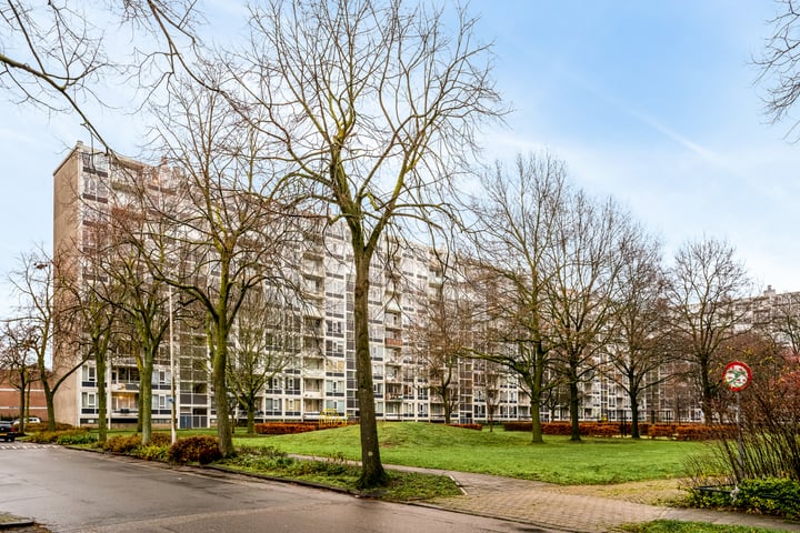 Dommeringdreef 221 in Utrecht foto