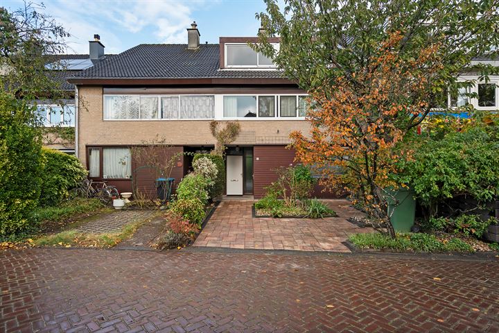 Donsvlinder 48 in Leiden foto