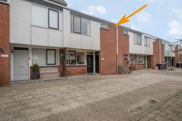 Doorzwin 3619 in Julianadorp foto