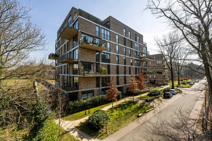 Dopheidelaan 102 in Hilversum