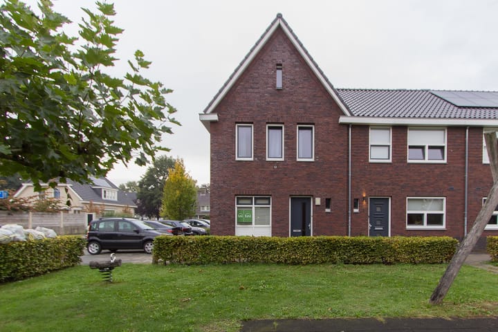 Dorsvlegel 1 in De Moer foto