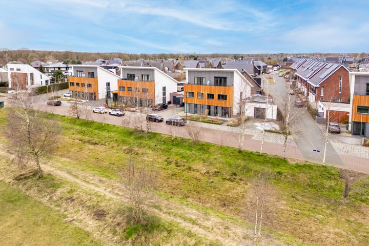 Dotterbloem 12 in Berghem foto