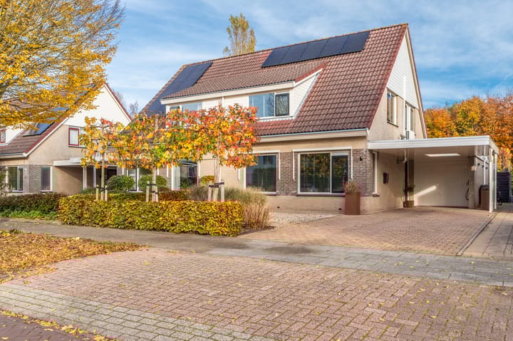 Dotterbloem 43 in Scheemda