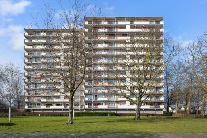 Dotterlei 767 in Capelle aan den IJssel foto